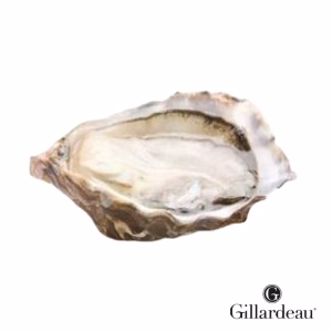 Gillardeau Speciales Oysters – Special Irlande