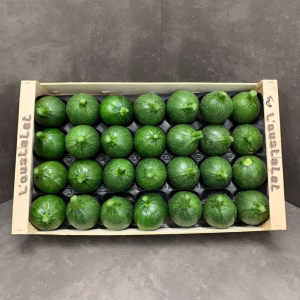 Fruits and Vegetables - Round Green Zucchini - Courgette Ronde Verte