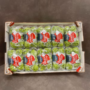 Fruits and Vegetables - Little Gem Lettuce - Sucrine 10x6