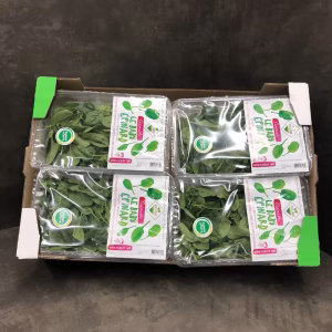 Fruits and Vegetables - Baby Spinach - Pousse d'Epinards x8 barquettes
