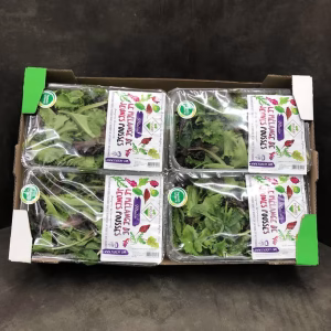 Fruits and Vegetables - Mixed Salad (Mesclun) - Mesclun x8 barquettes