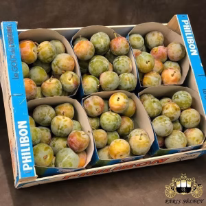 Fruits and Vegetables - Greengage Plum - Prune Reine Claude