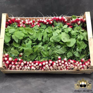 Fruits and Vegetables - Pink Radish (12 bunches) - Radis Rose x12 bottes
