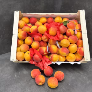 Fruits and Vegetables - Apricot - Abricot