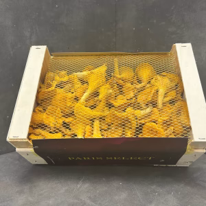 Fruits and Vegetables - Chanterelle Mushroom - Champignon Girolle, Paris Select, France, 20x30x1KG
