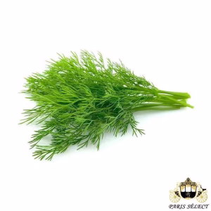 Fruits and Vegetables - Dill (10 bunches) - Aneth 10 Bottes