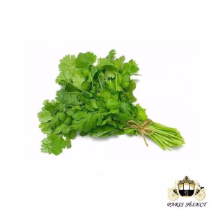 Fruits and Vegetables - Coriander (10 bunches) - Coriandre 10 Bottes
