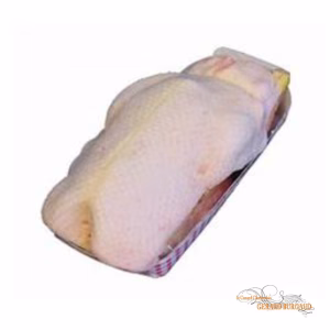 Maison Burgaud - Duck Bateau de Canard Challandais Pac