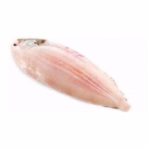IQF Wild Fish & Seafood - Sole (Frozen)