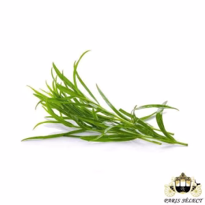Fruits and Vegetables - Tarragon (10 bunches) - Estragon 10 Bottes