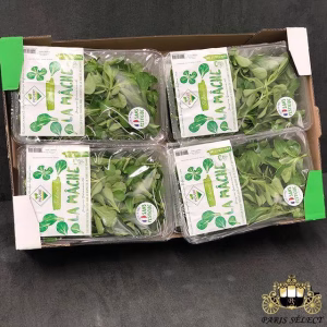 Fruits and Vegetables - Lamb's Lettuce - Mâche x8 barquettes