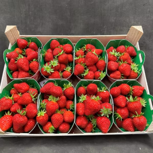Fruits and Vegetables - Strawberries (Mara des Bois) - Fraise Mara des Bois