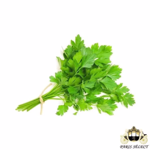 Fruits and Vegetables - Flat Parsley (10 bunches) - Persil Plat 10 Bottes