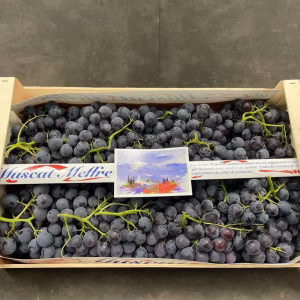 Fruits and Vegetables - Muscat Grapes - Raisin Muscat