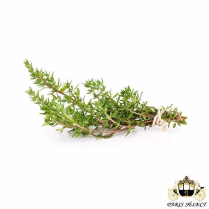 Fruits and Vegetables - Thyme (10 bunches) - Thym 10 Bottes