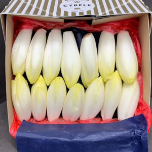 Endive Small, France