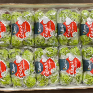 Salad Sucrine, Spain