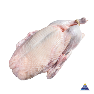 Maison Burgaud - Duck Canard Challandais