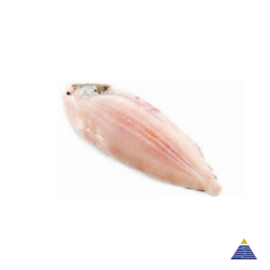 IQF Dover Sole