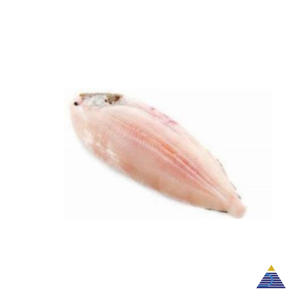 IQF Dover Sole