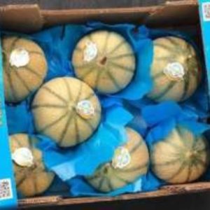 Melon Baby Charentais cal.8, Philibon, France