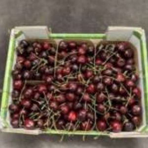 Cerise Noire/ Black cherry Cal.30/32, Délice, Belge